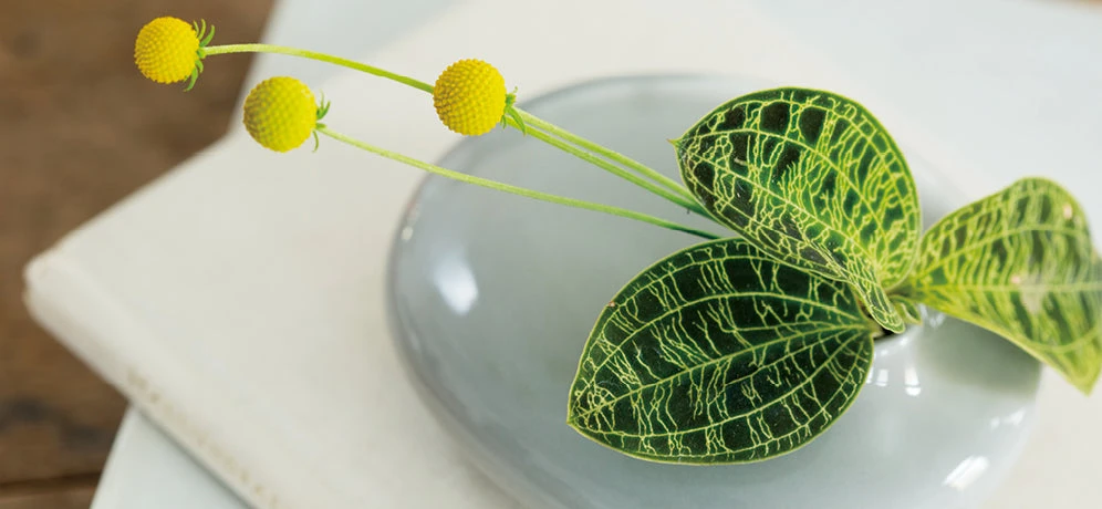 SACCO Vase Porcelain 01 8 SACCO Vase Porcelain 01 - Image 8